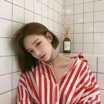 欧栗树